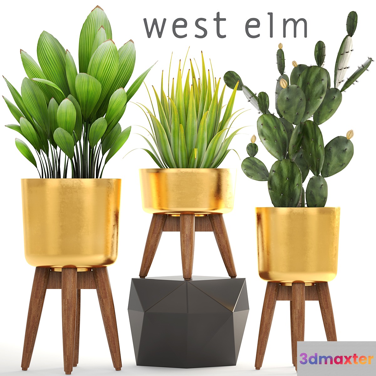 Collection of plants. luxury flowerpot golden pot bush cactus prickly pear agave interior indoor decor luxury 3D Max