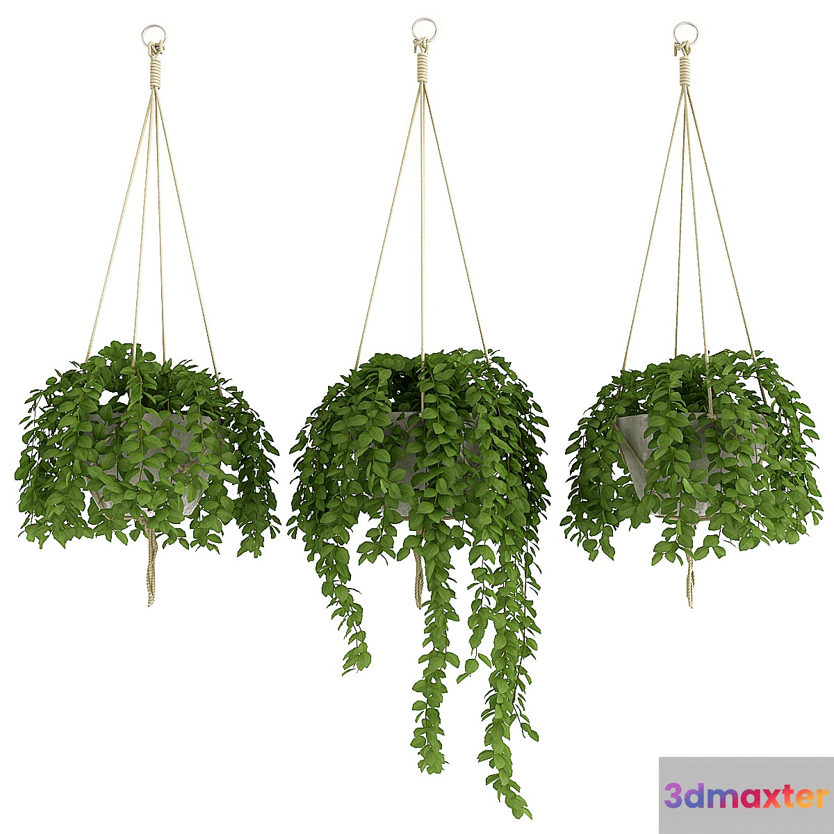 Plants Set_2