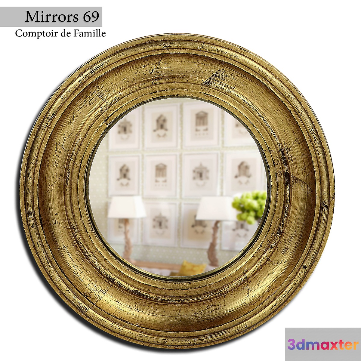 Mirror 69 3D Max