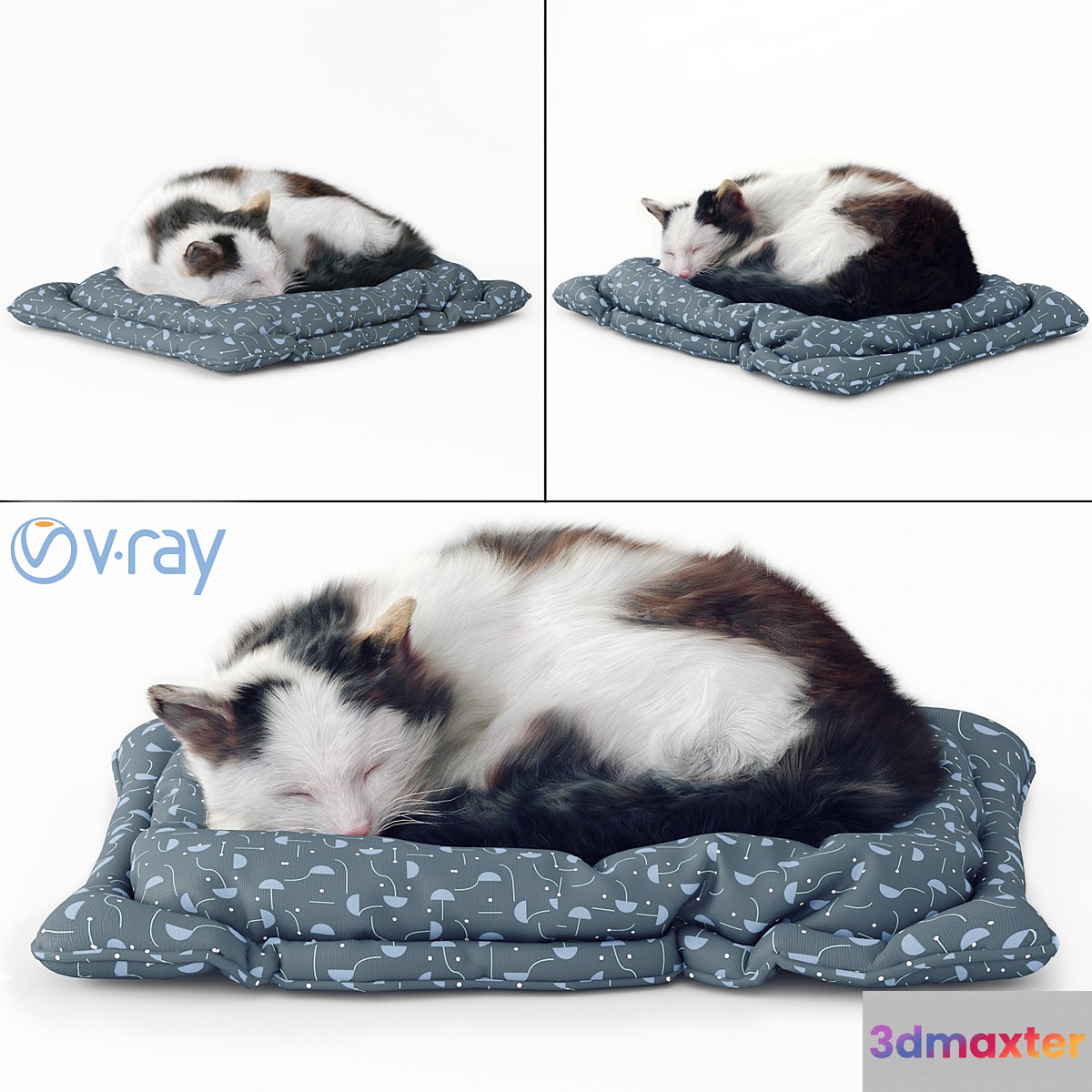 Fluffy cat - No.3