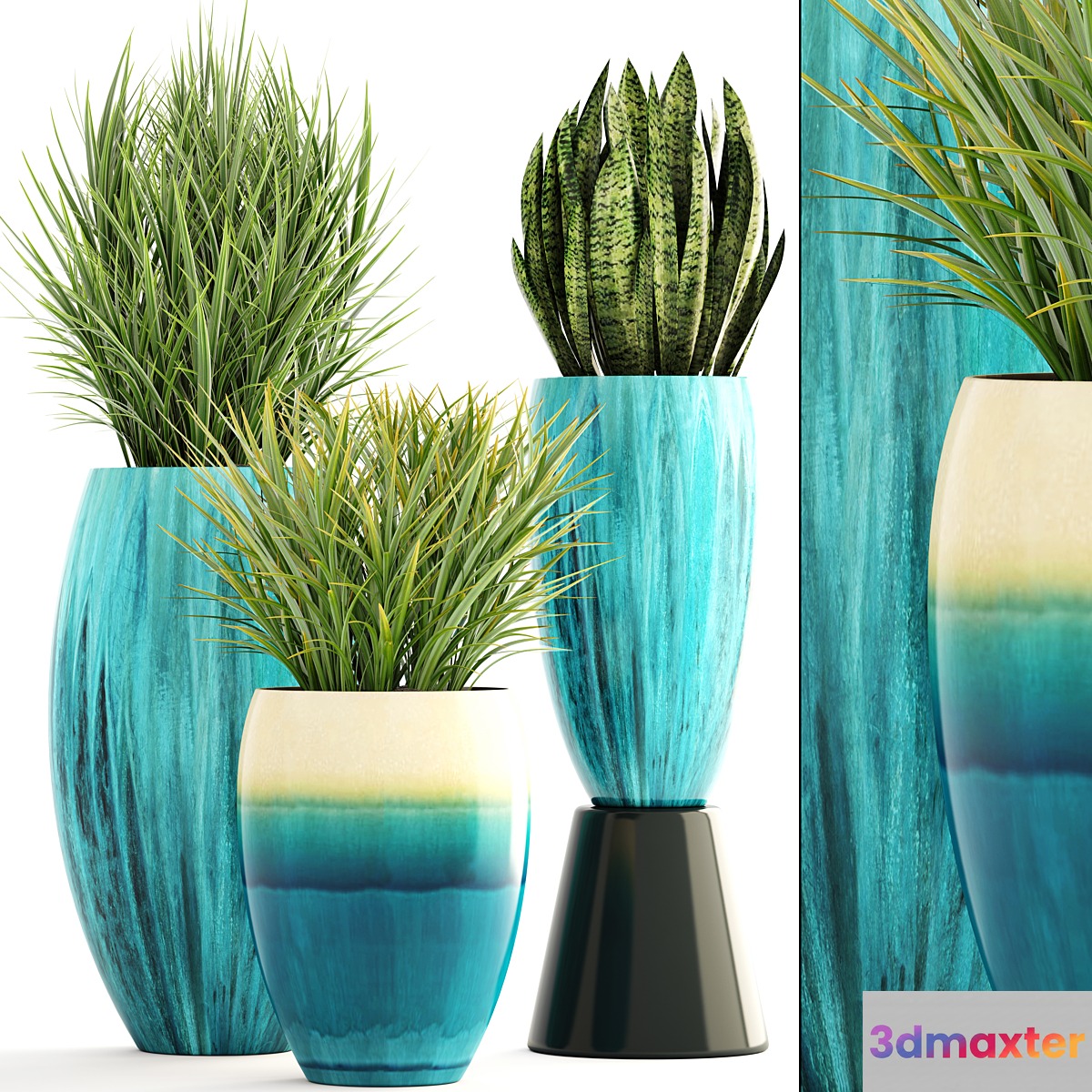 Collection of plants. Pot flowerpot street decor landscape design bush grass sansevieria turquoise interior decorative Chlorophytum 3D Max