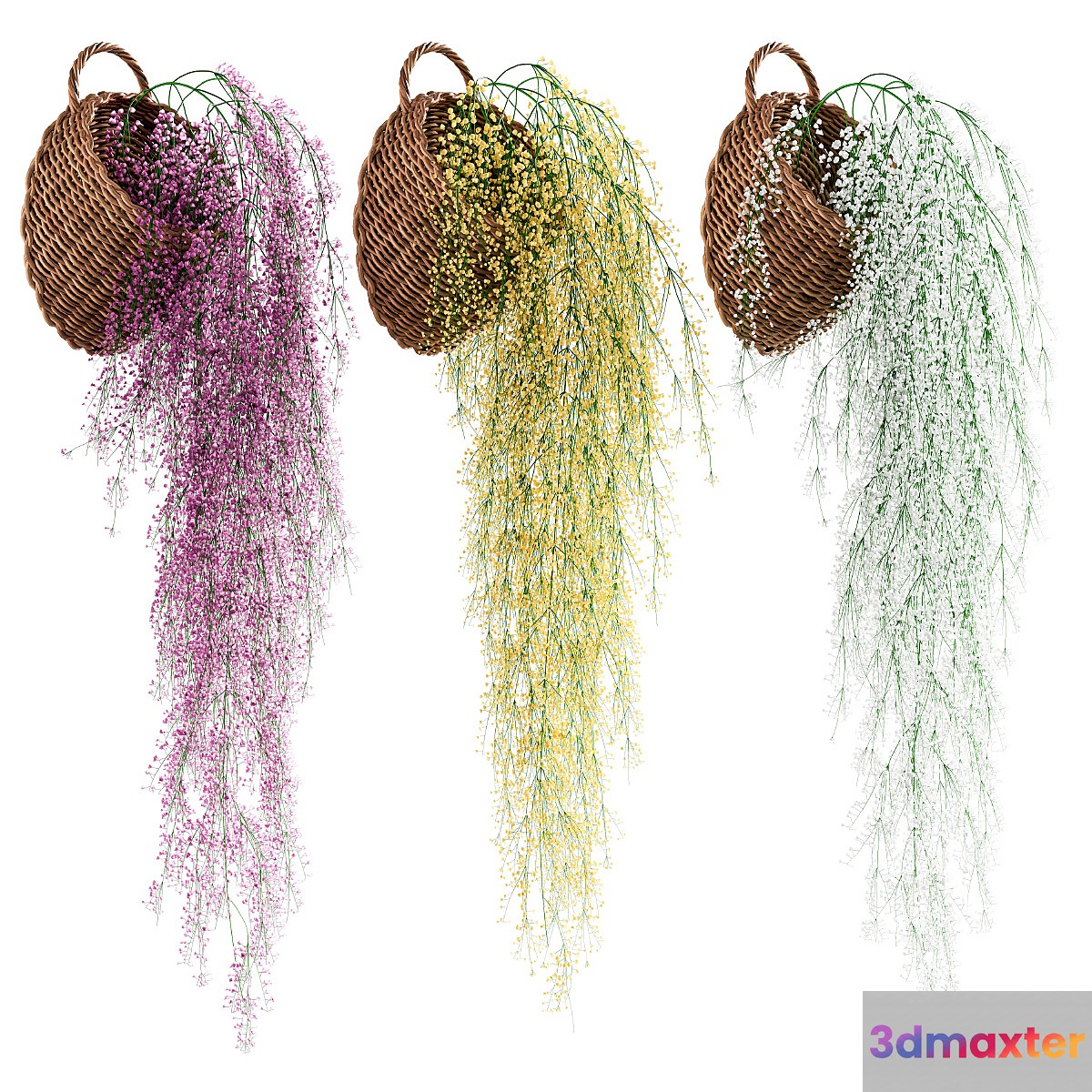 Hanging plants in wicker pots