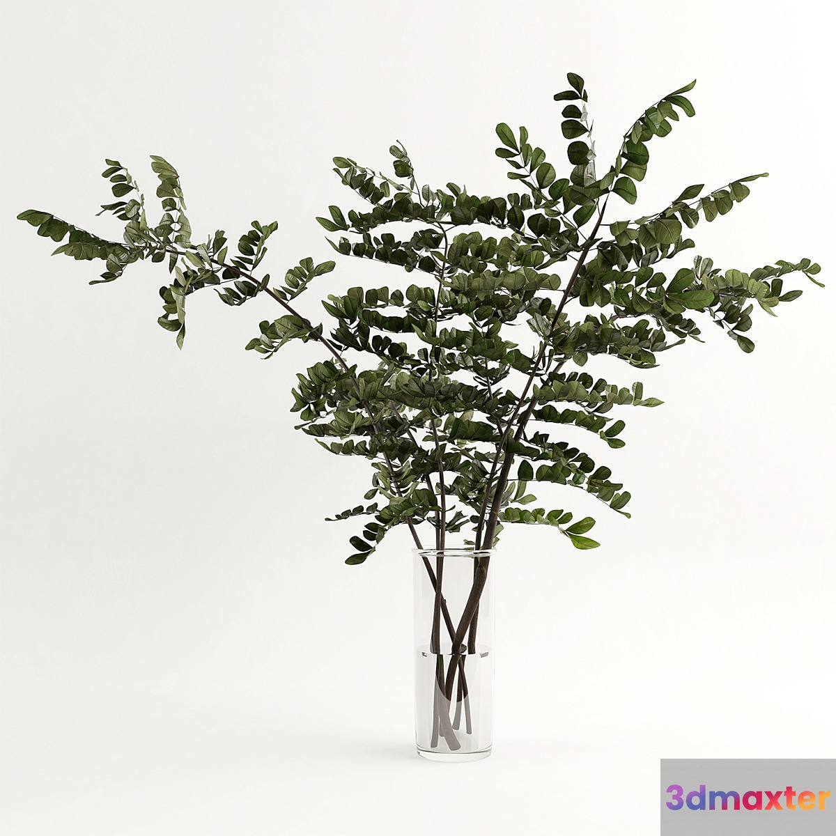 Branches in the vase 003 3D Max