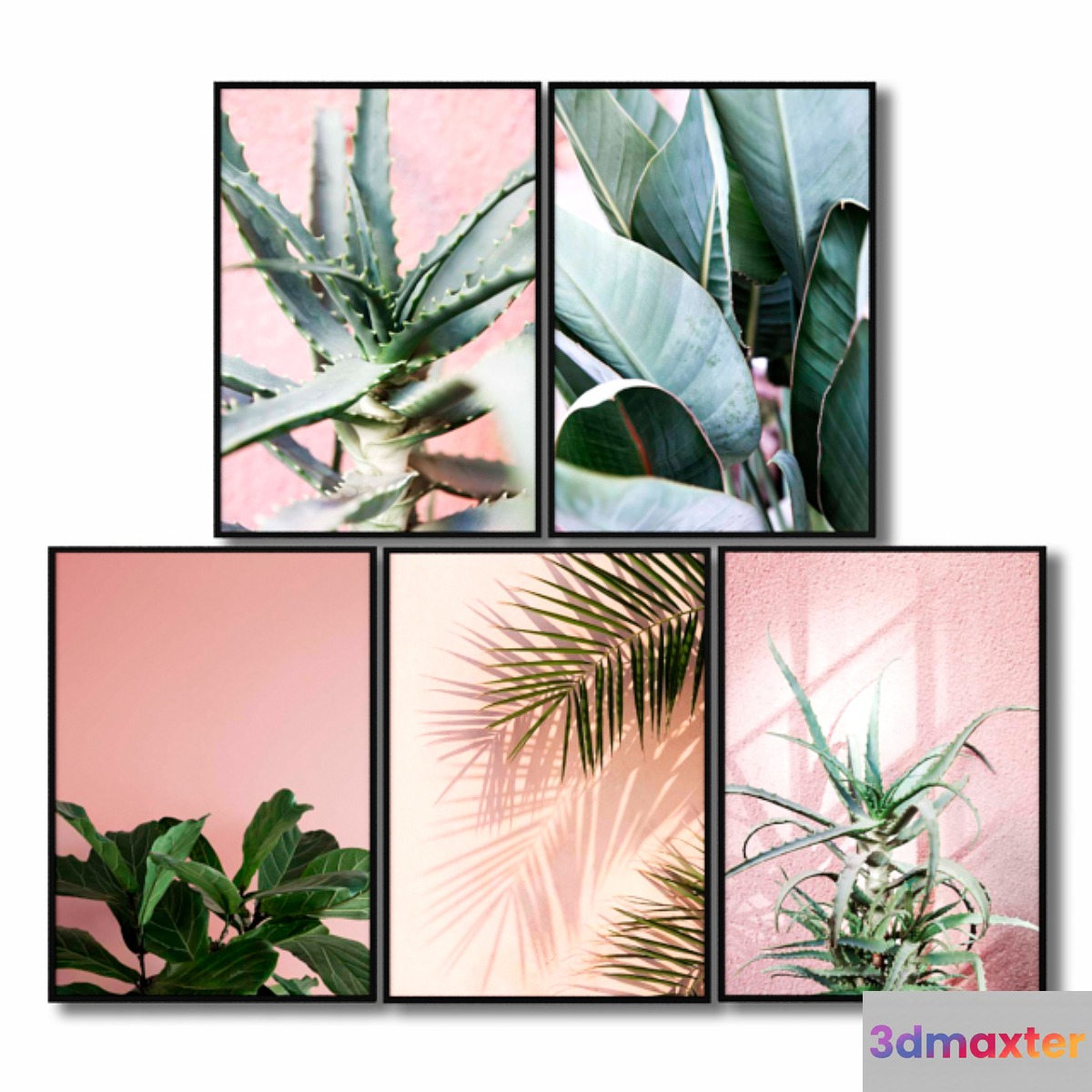 Posters with pink plants. - No.2