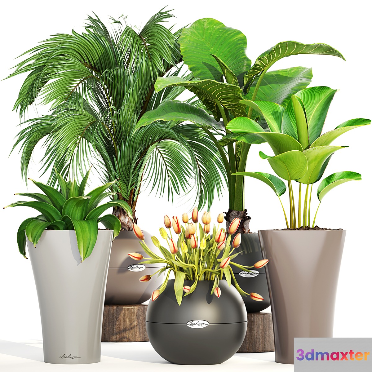 Collection of plants 191. decorative palm tree alocasia tulip agave pot flower calathea round flowerpot 3D Max