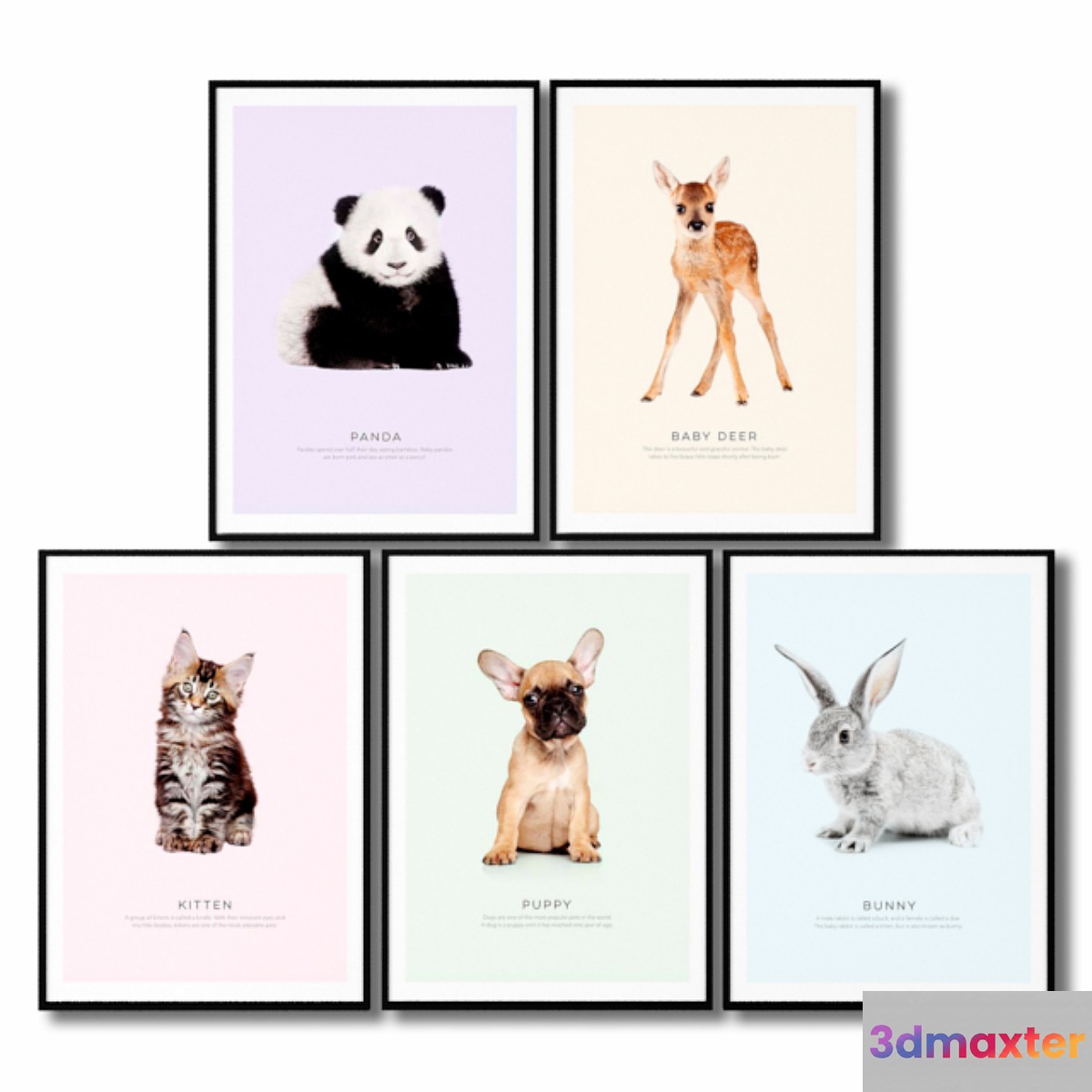 Posters for the children's room are animals. 3D Max