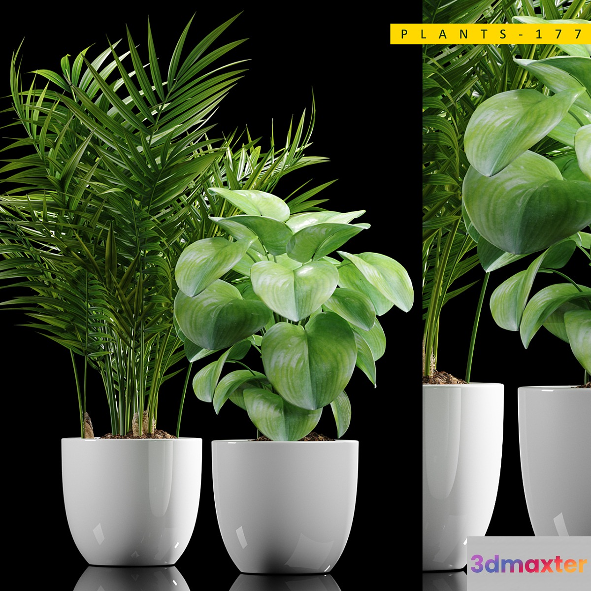 PLANTS 177 3D Max