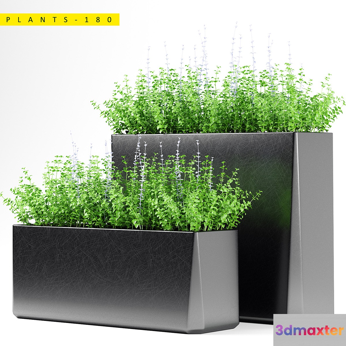 PLANTS 180 3D Max