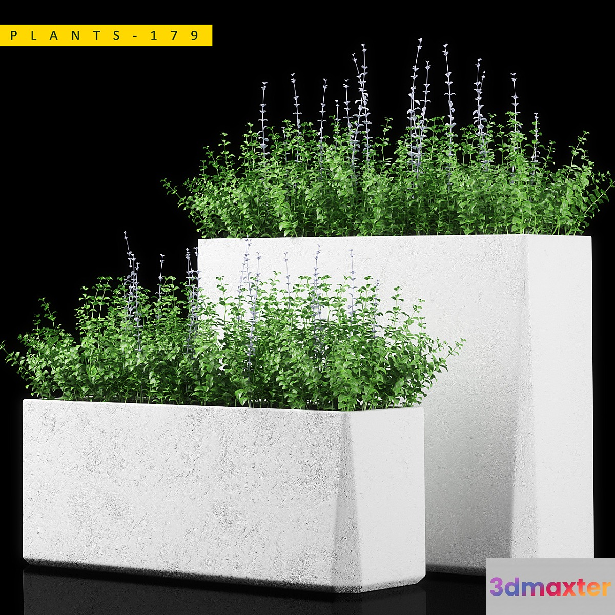 PLANTS 179 3D Max