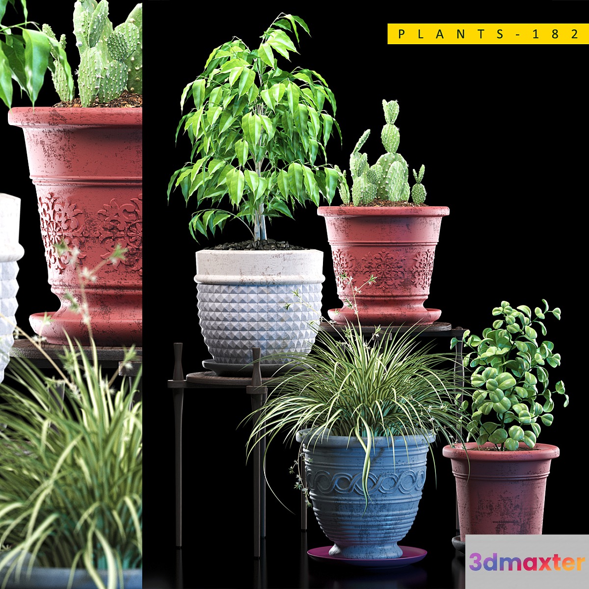 PLANTS 182 3D Max
