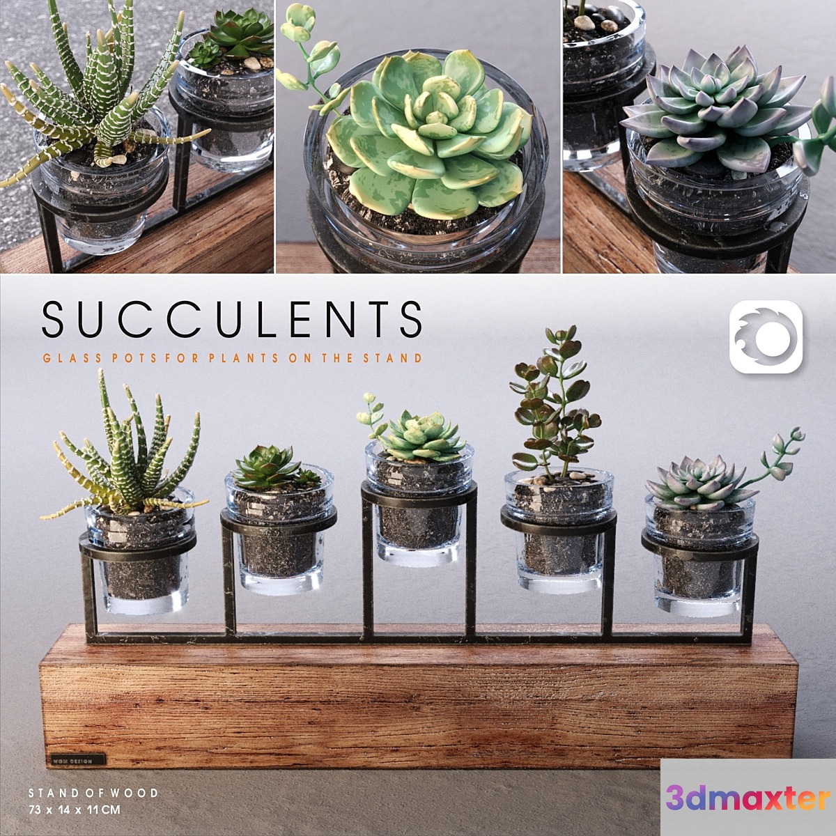 Succulents_set - No.3