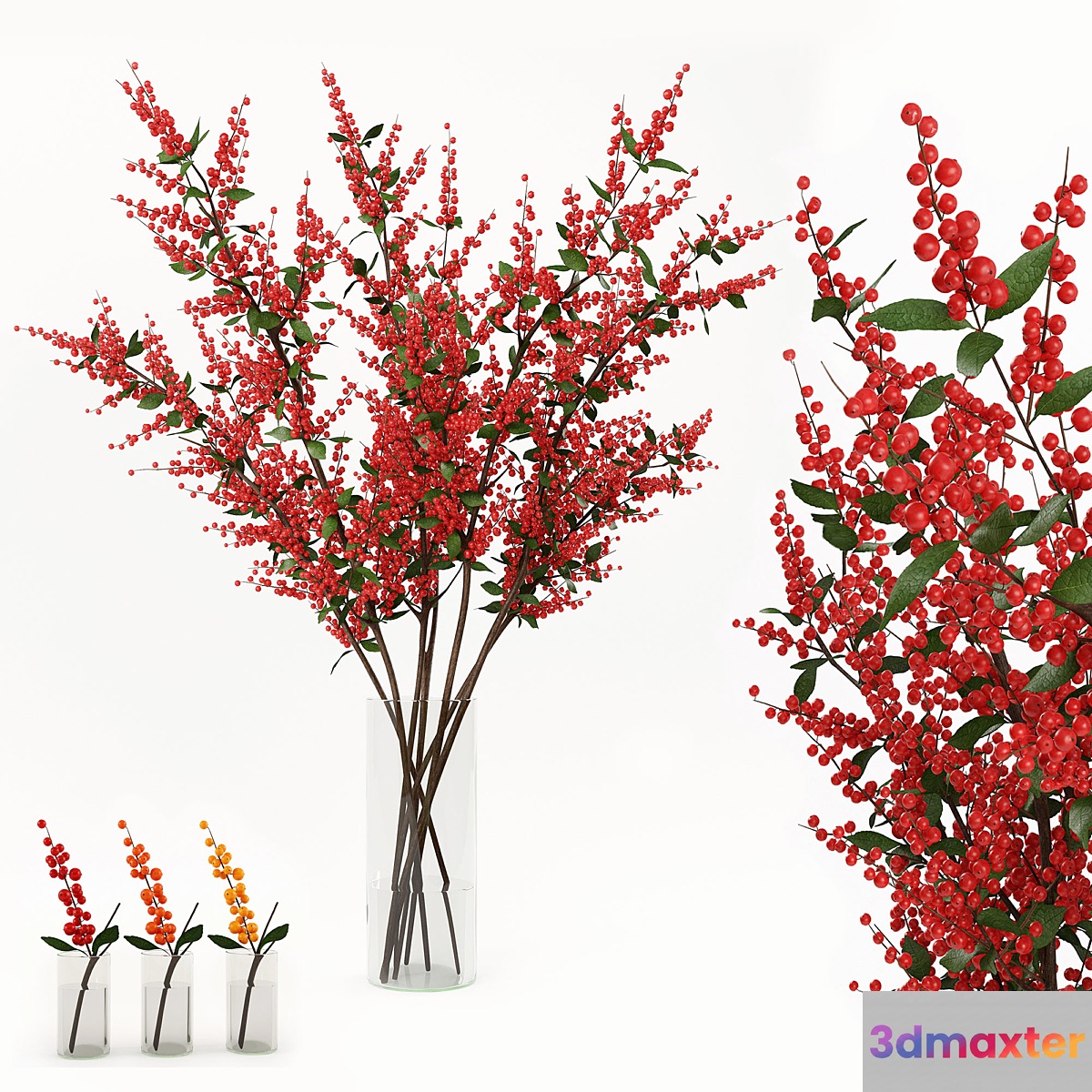 Branches in the vase 004 - No.3