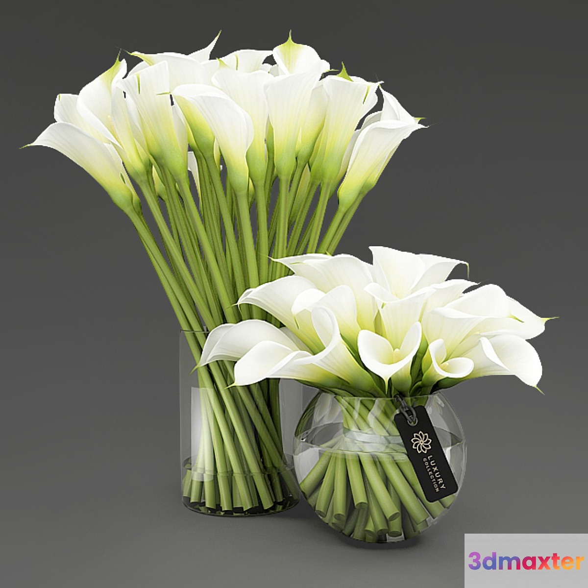 Callas_3 3D Max