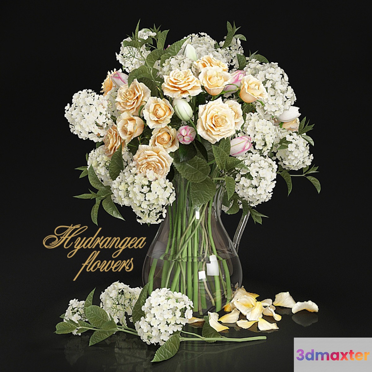 Hydrangea flowers - No.2