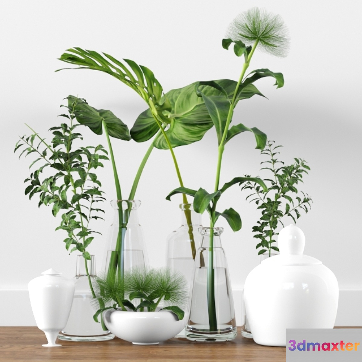 Plants tree indoor