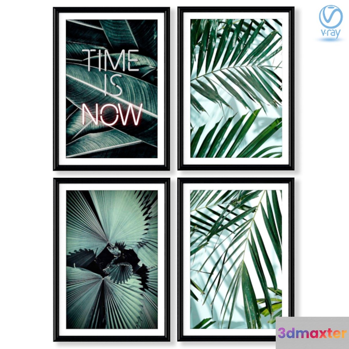 Collection of posters with palm leaves.