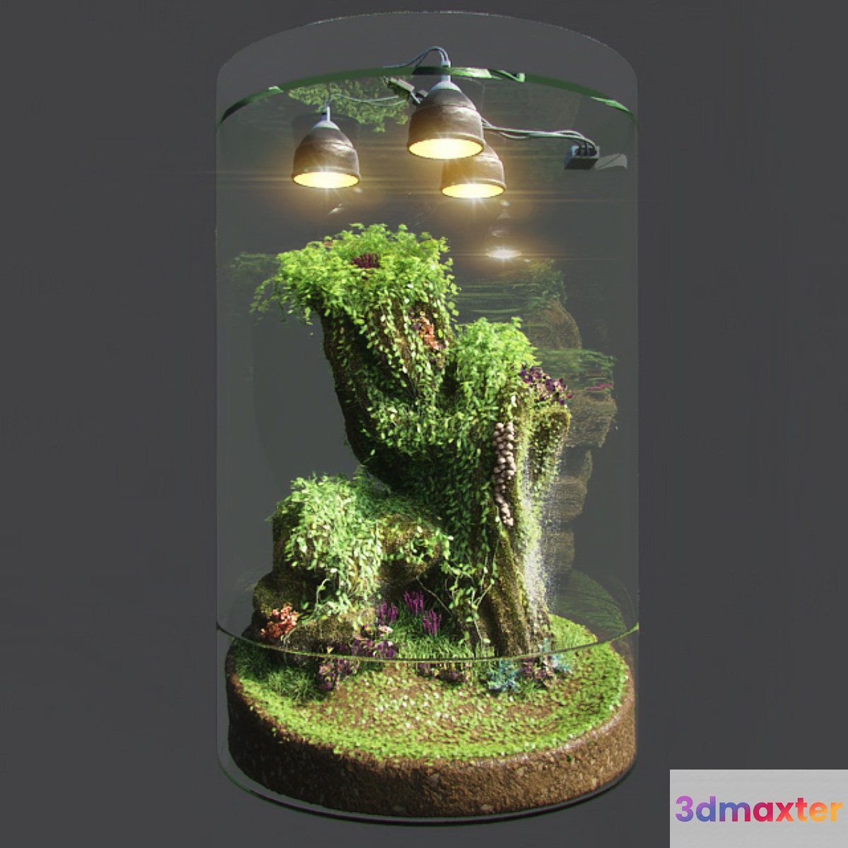 Dwarf Florarium