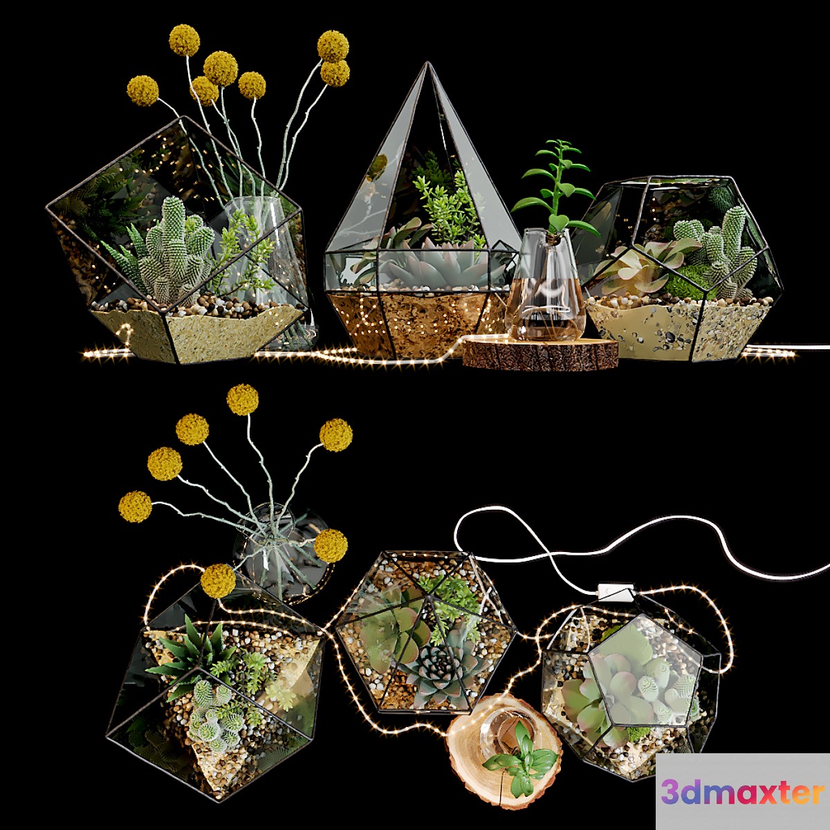 Set of florariums 3D Max