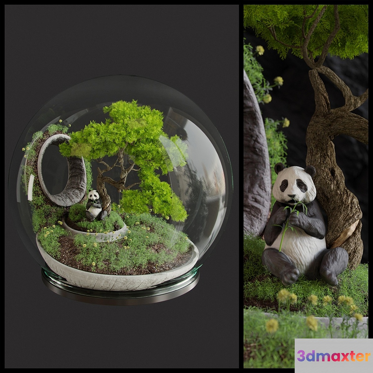 Florarium Bonsai 3D Max