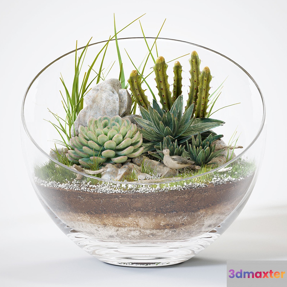 Florarium 3D Max