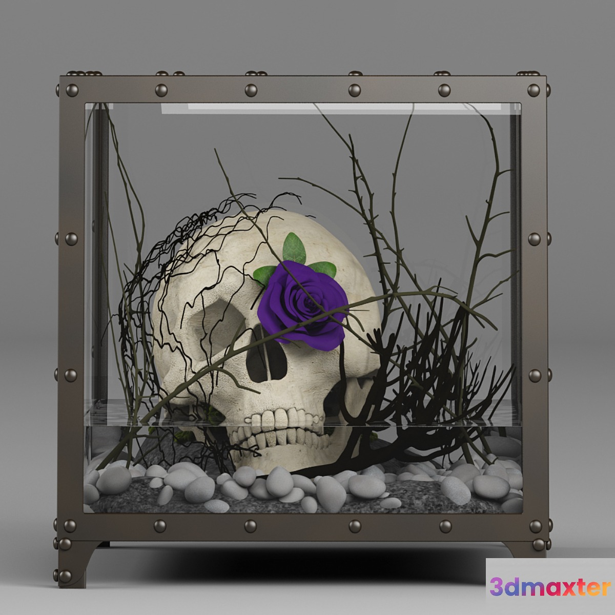 Florarium_death 3D Max