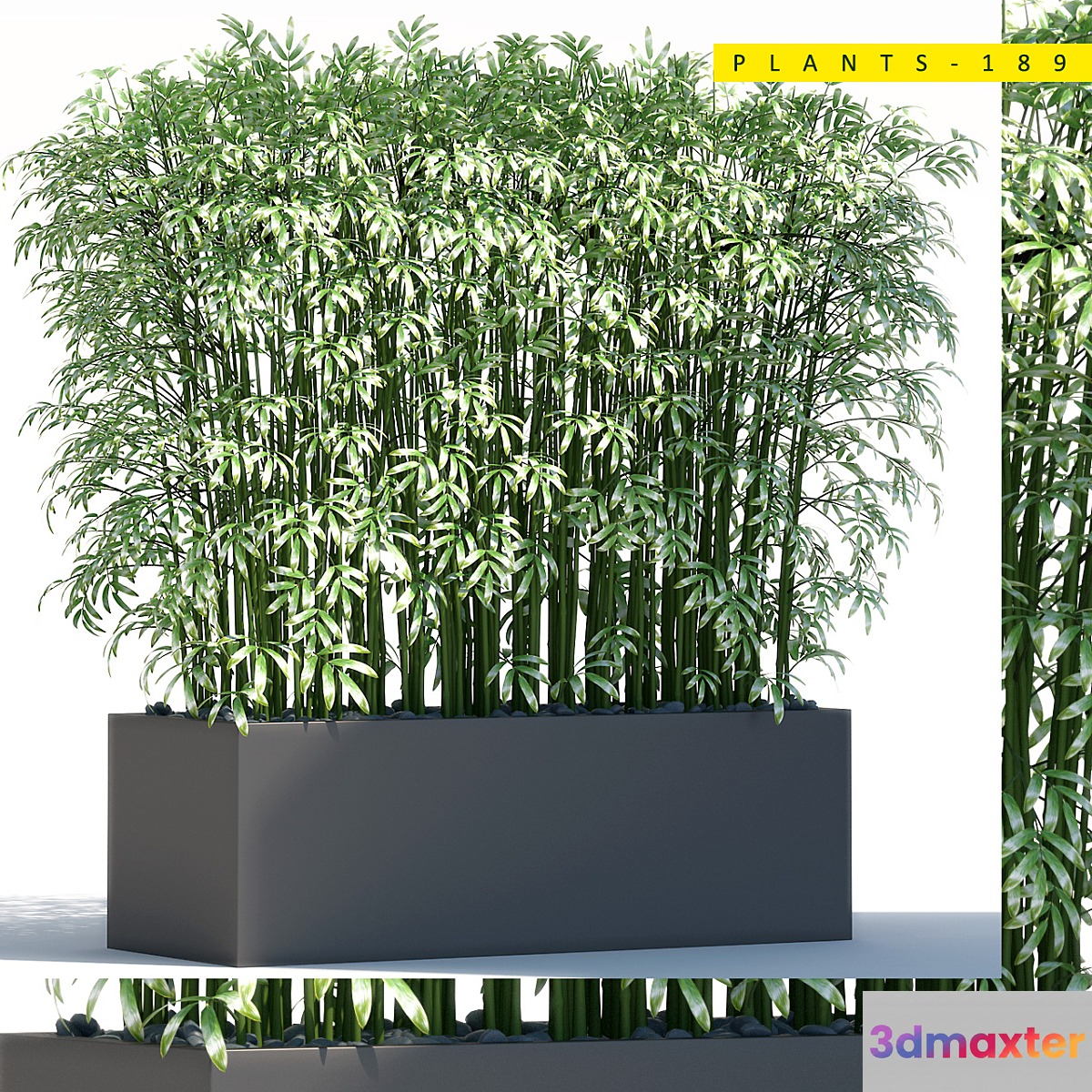 Plants 189 3D Max