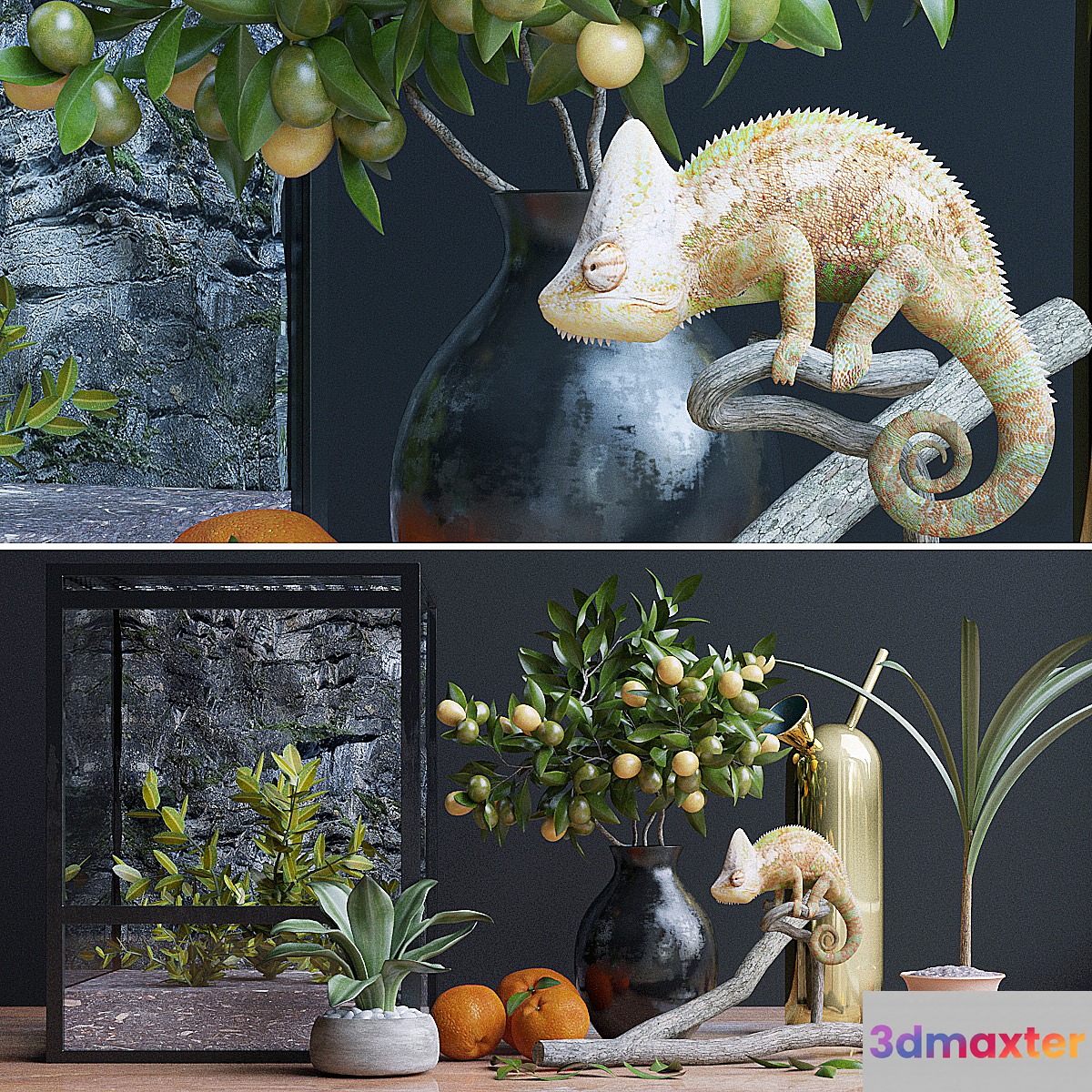 Decorative set chameleon