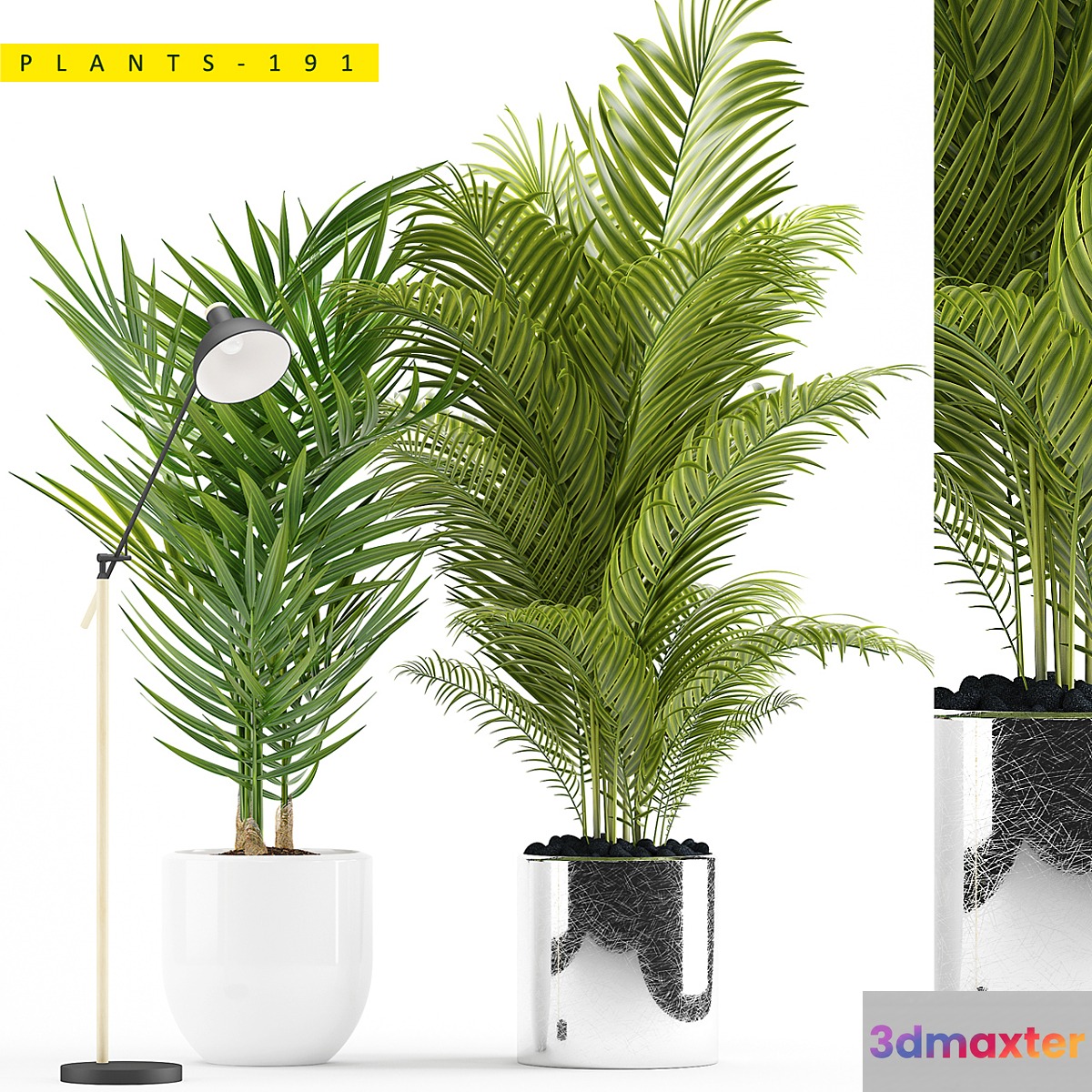 PLANTS 191 3D Max