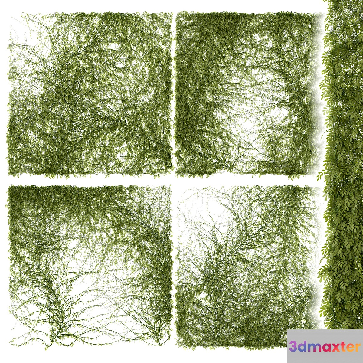 Leaves for walls 3D Max