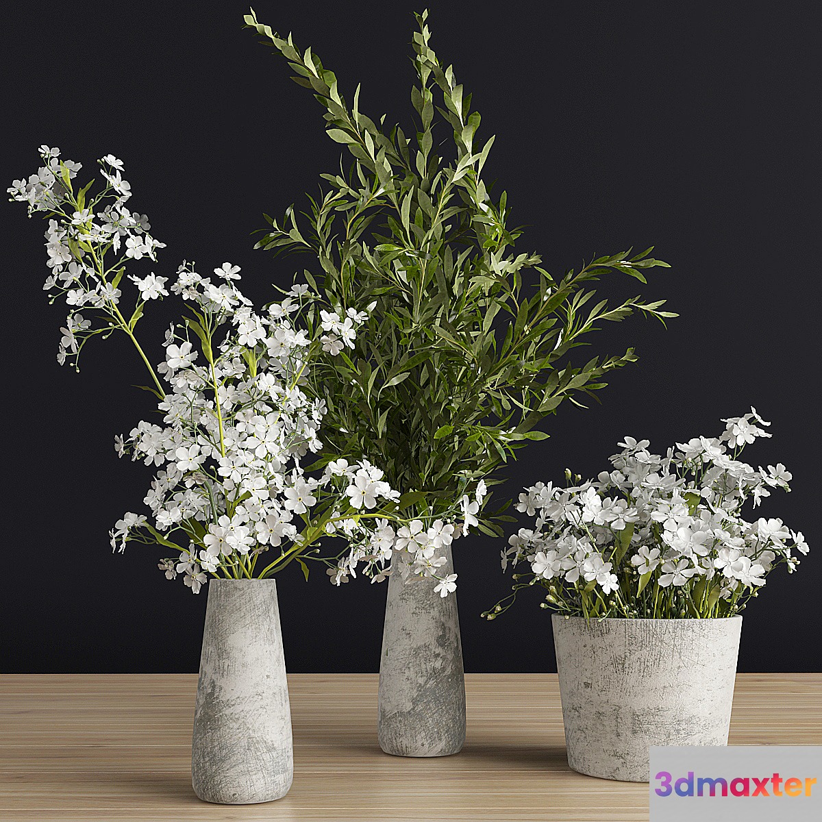 Plants set 3