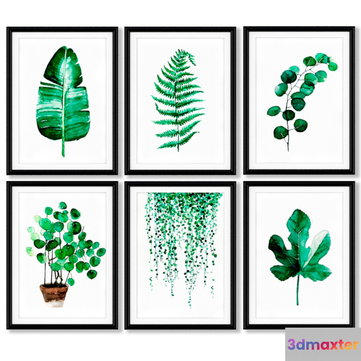 A series of posters with tropical plants. 3D Max