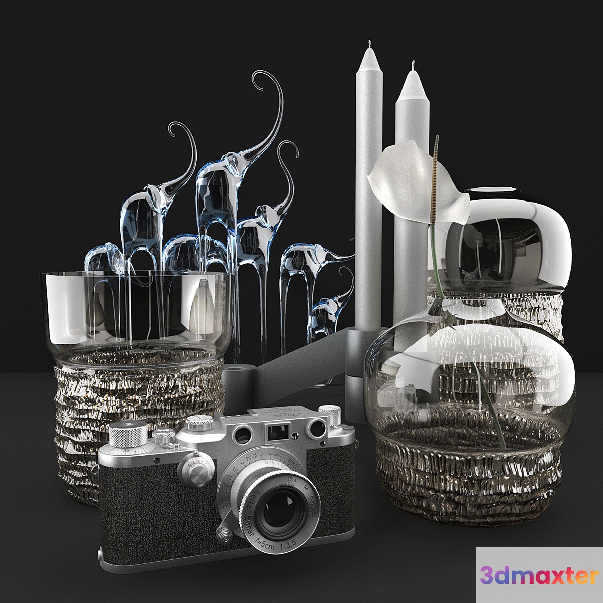 Vases and camera Leica - No.2 3D Max