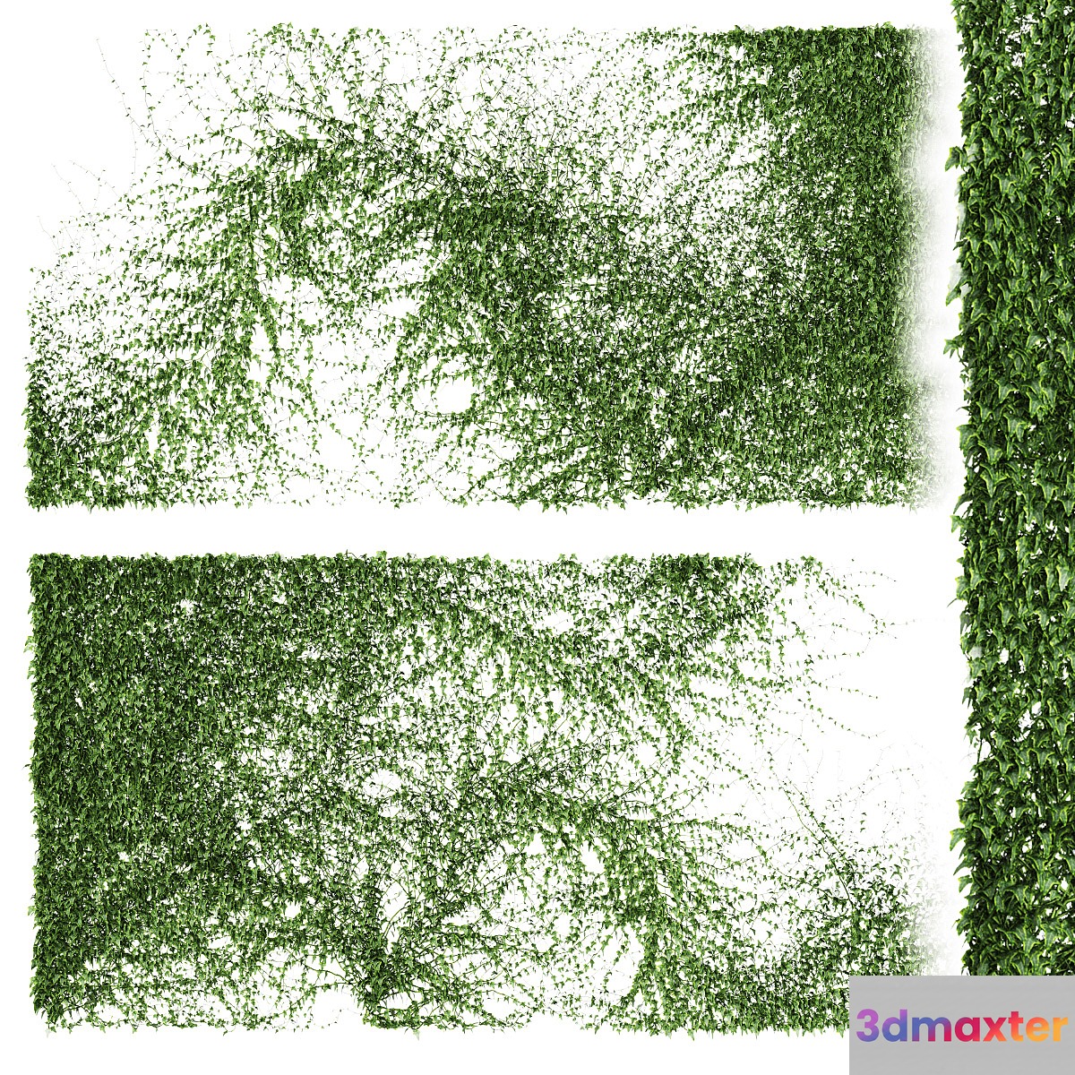 A long wall of ivy. 2 models 3D Max