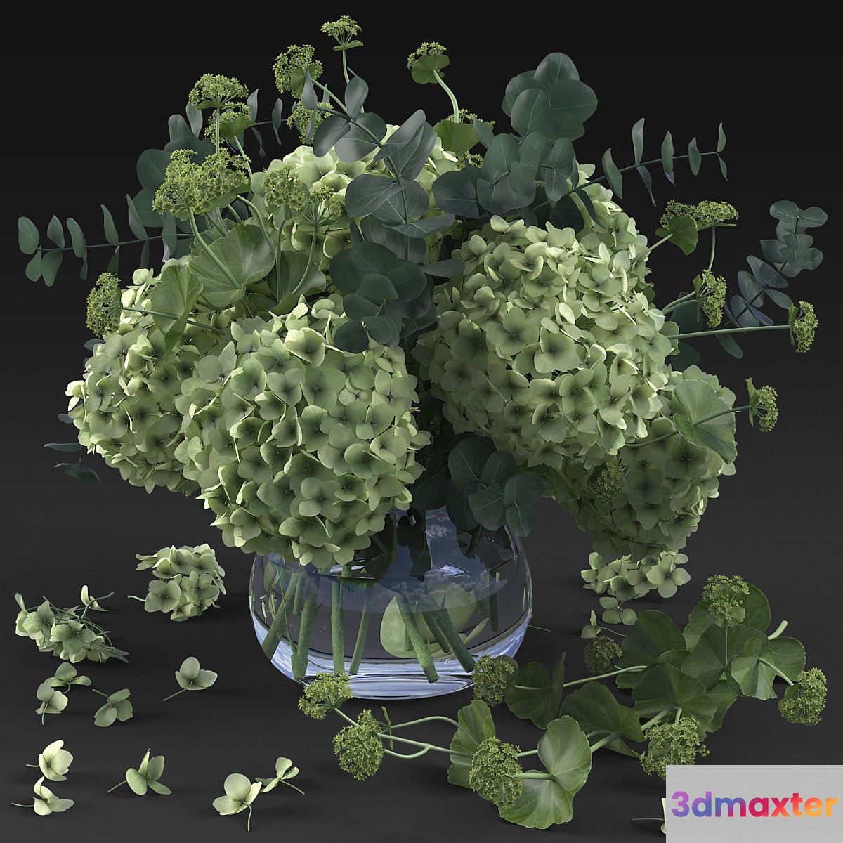 Hydrangea - No.6