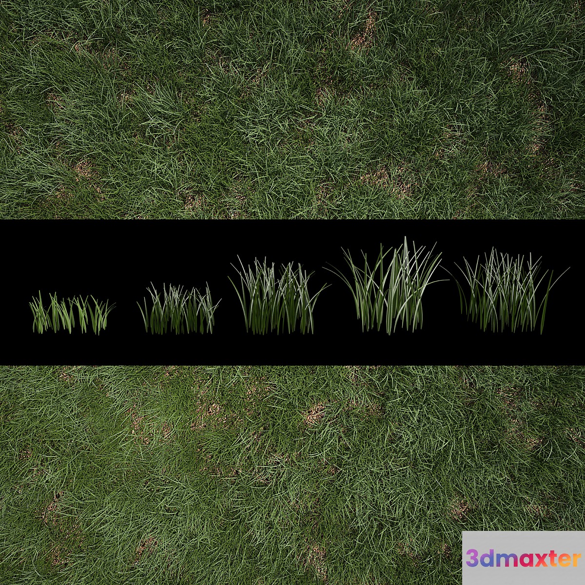 Grass for Exteriors 3D Max