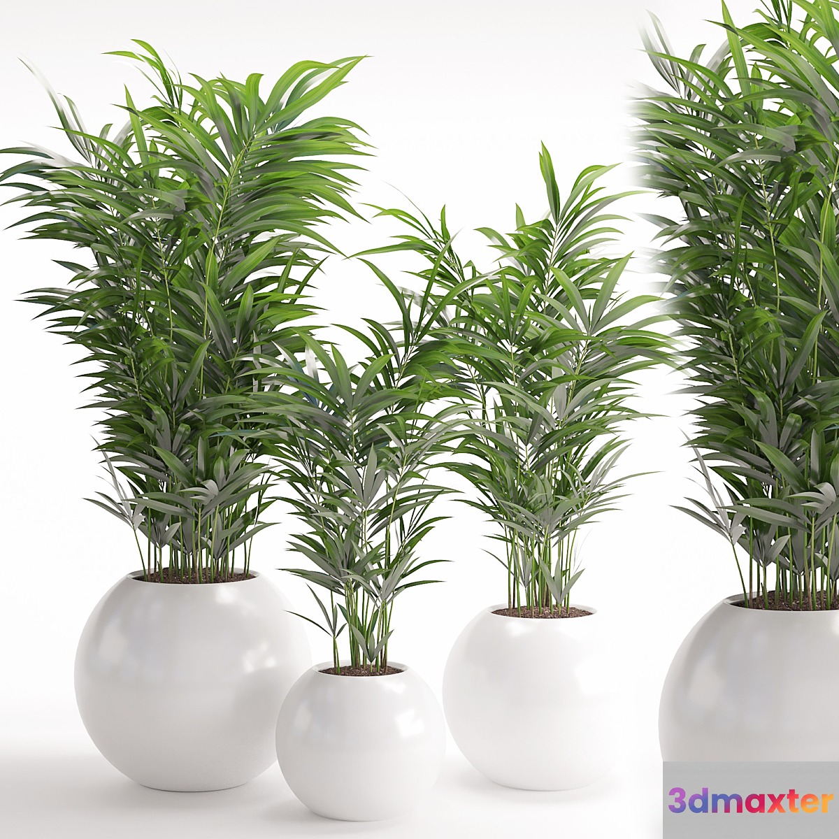 Houseplant 20 3D Max