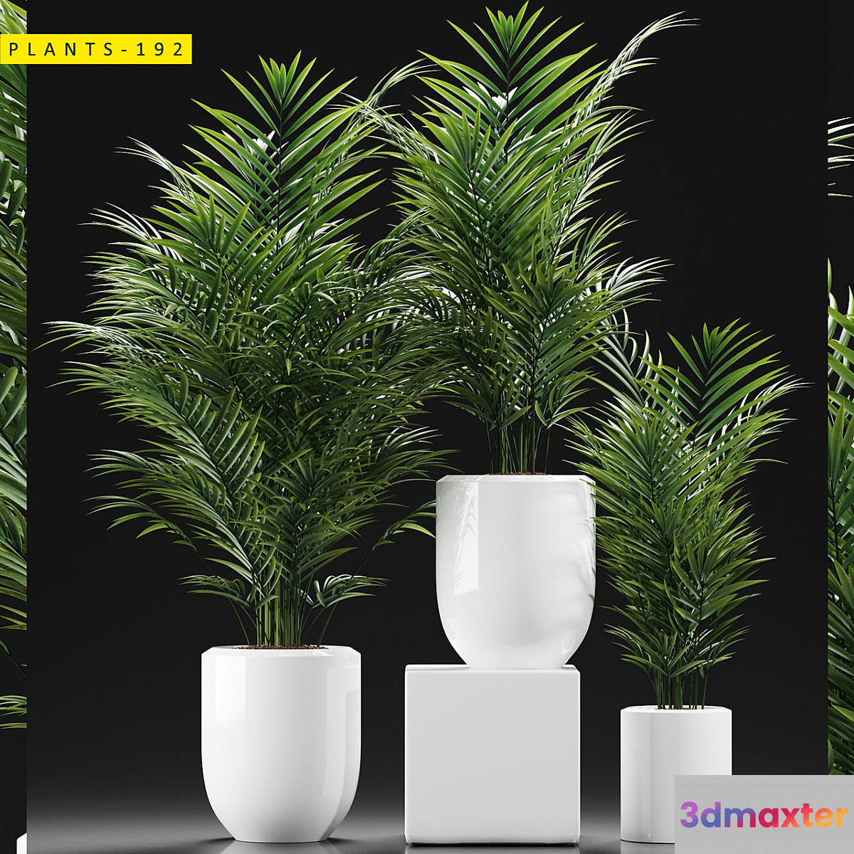PLANTS 193 - No.2