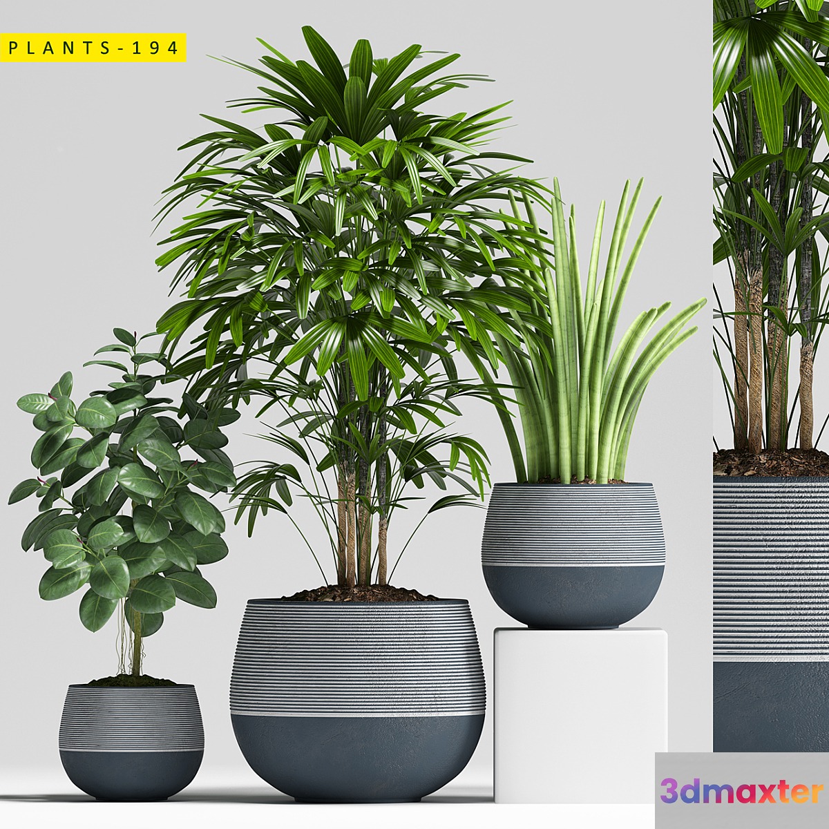 Plants 194 3D Max