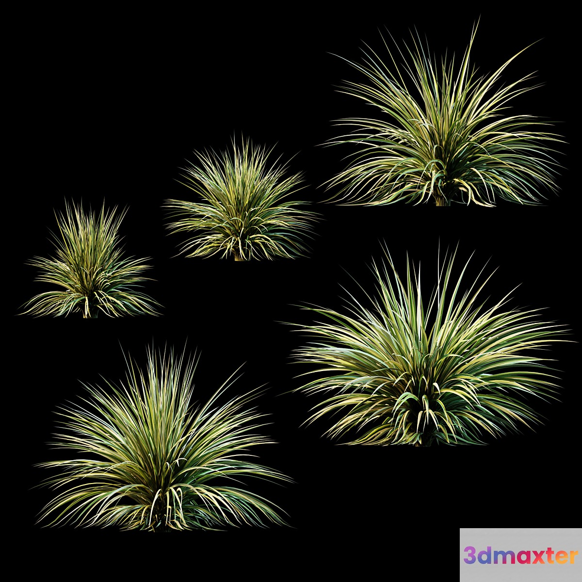 Plants for Exterior v2