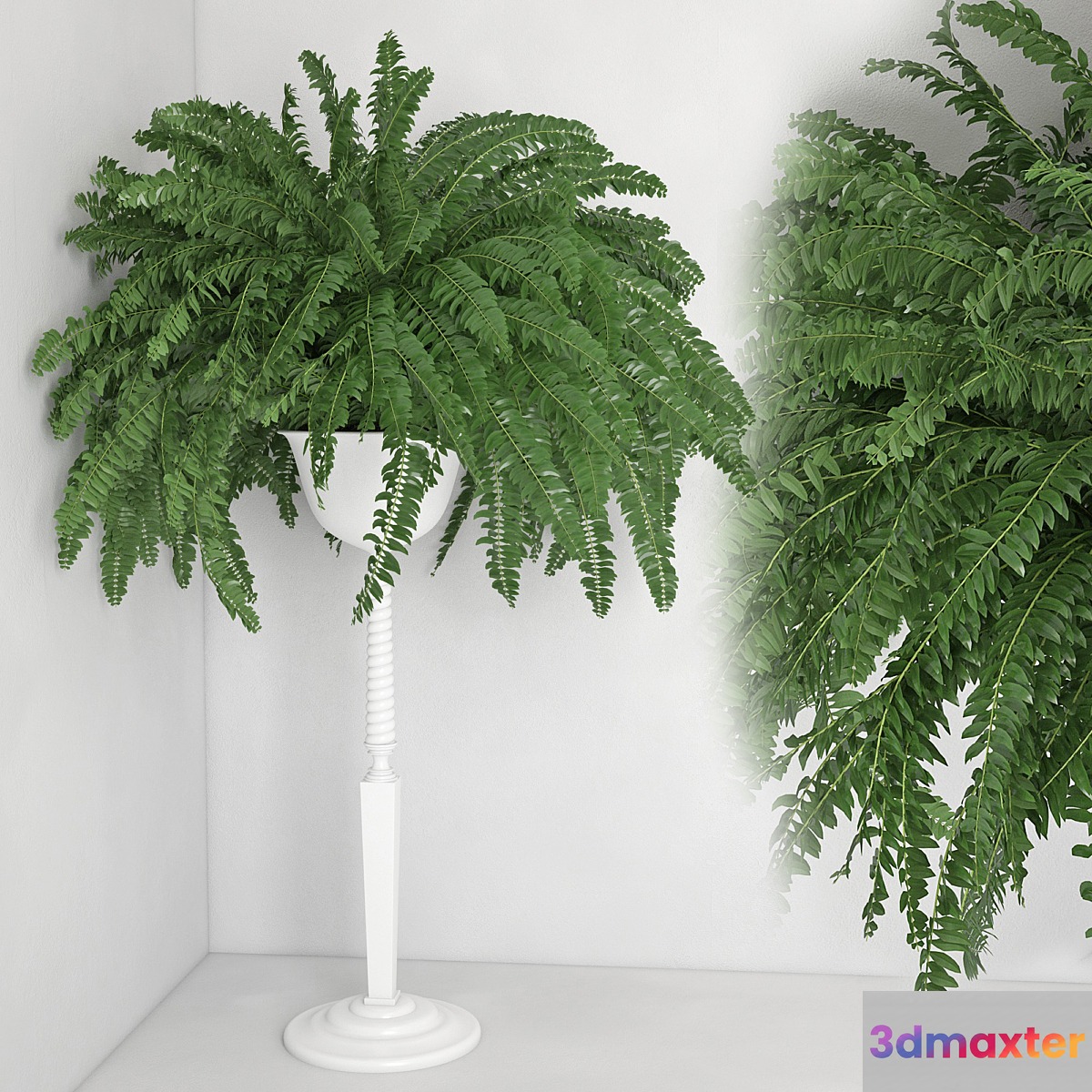 Houseplant 21 3D Max