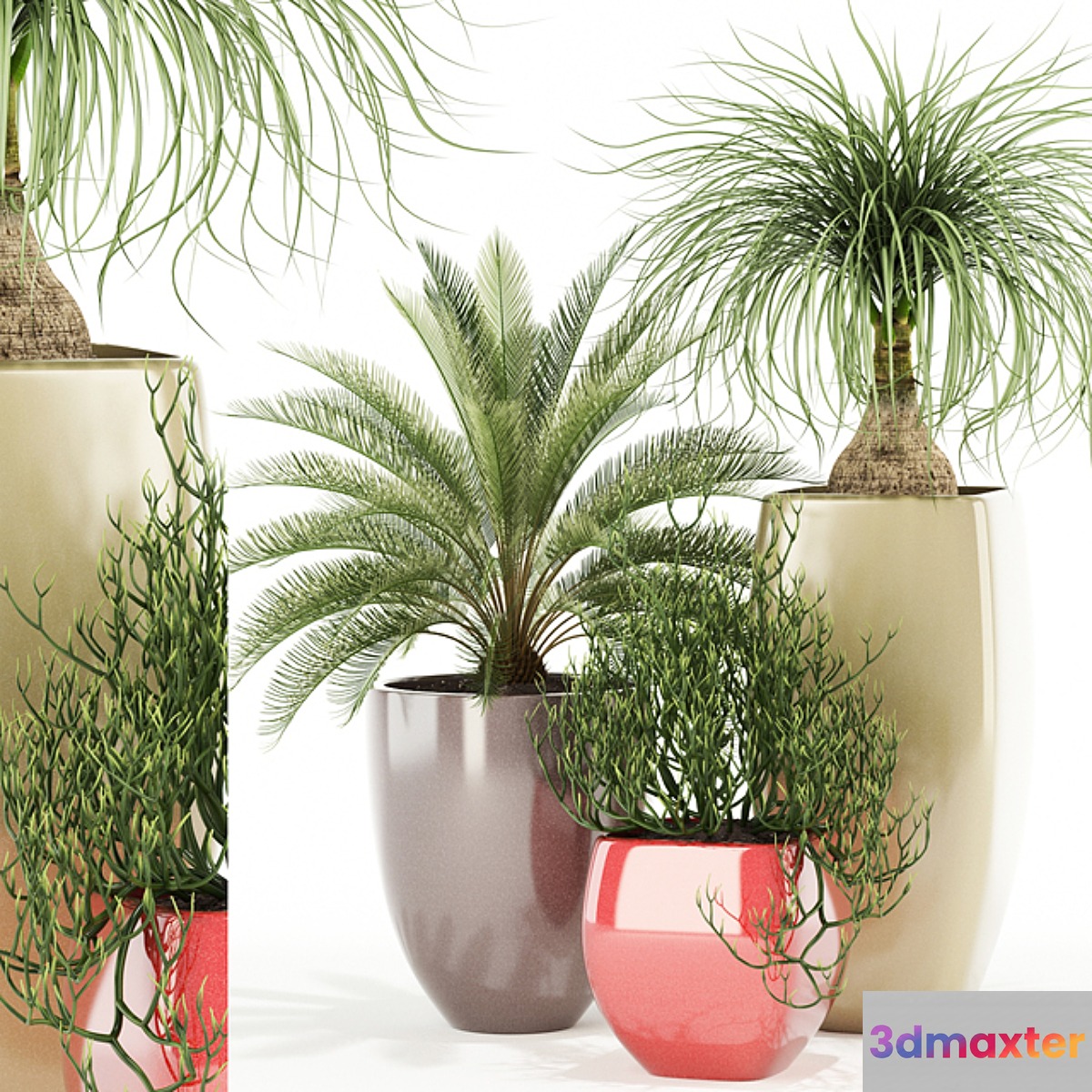 Plants collection 101 Awesomeplanters 3D Max