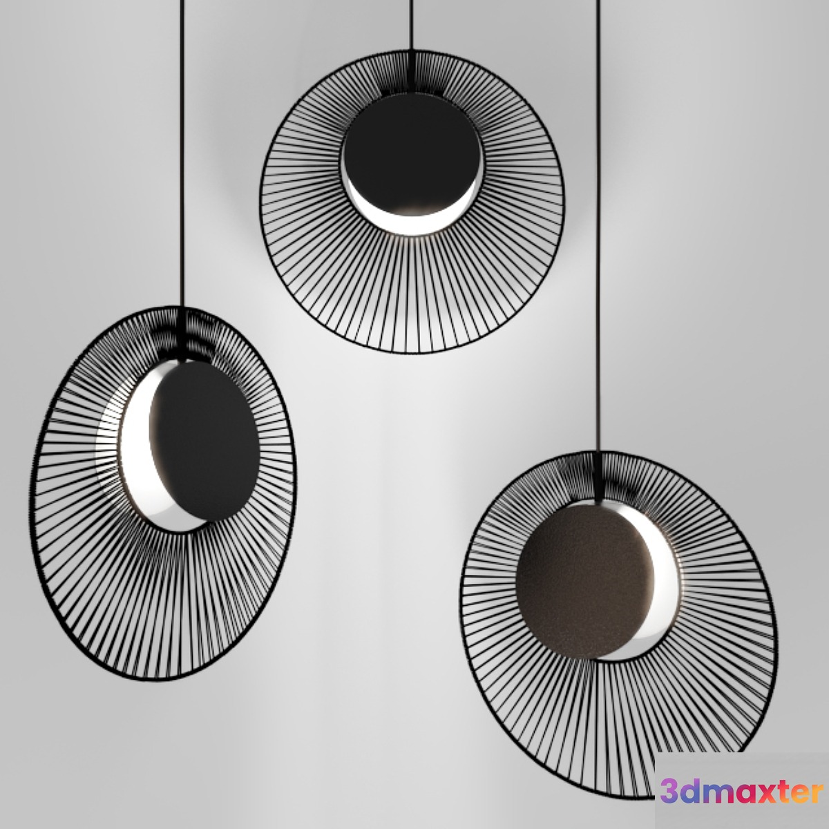 Oyster 3D Max
