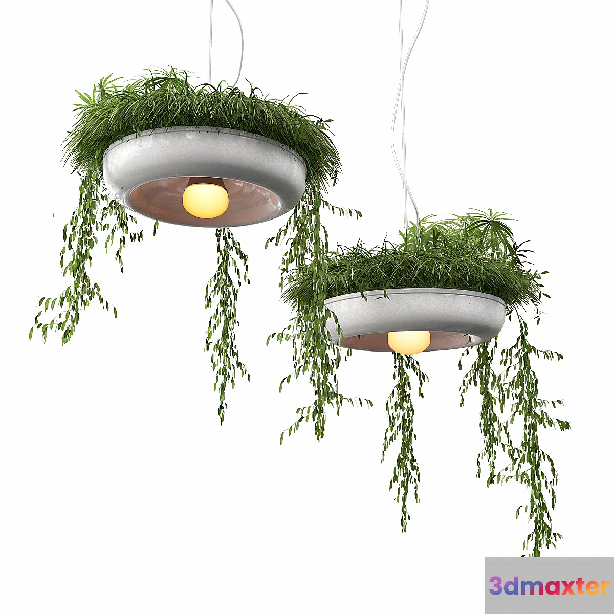 Chandelier with plants