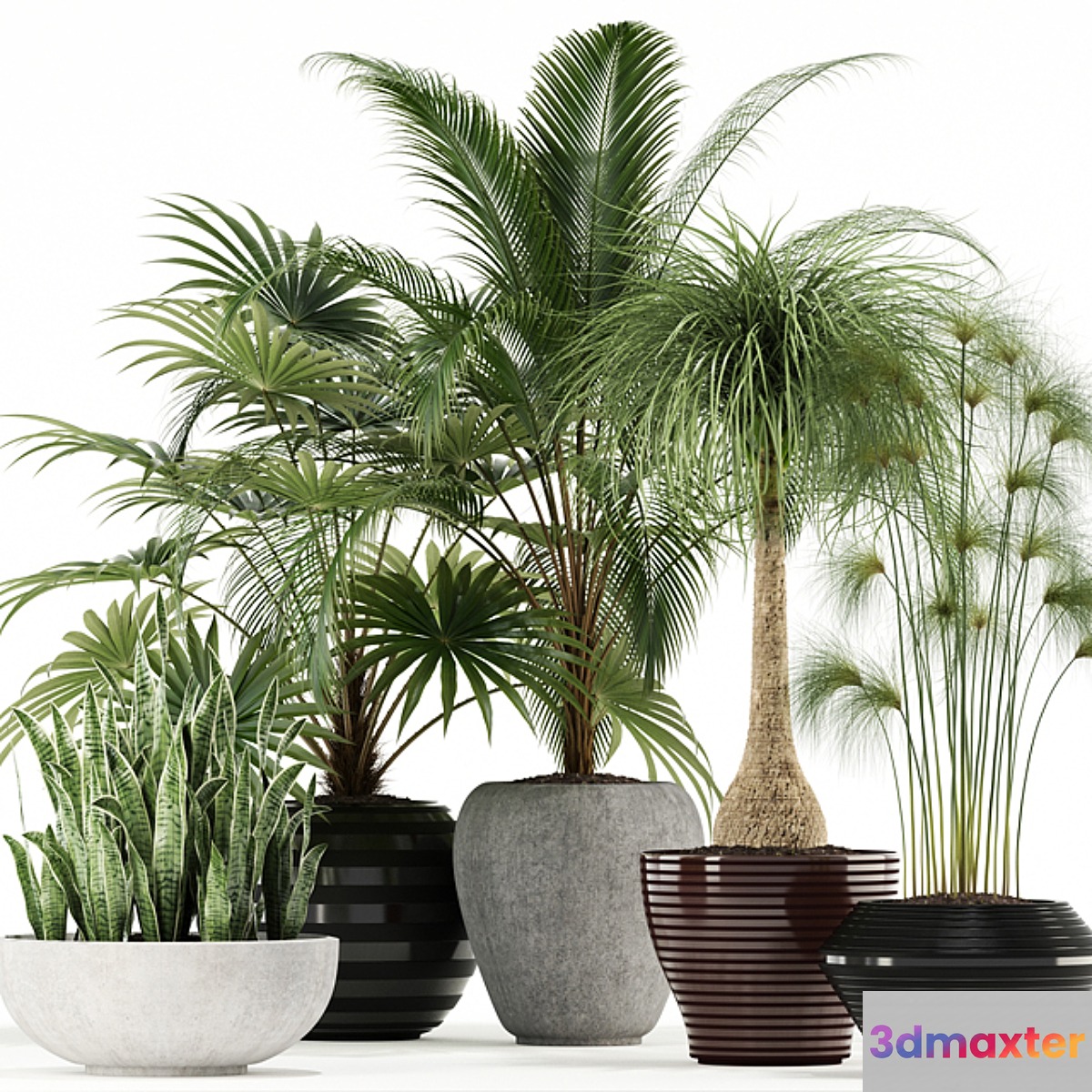 Plants collection 103 3D Max