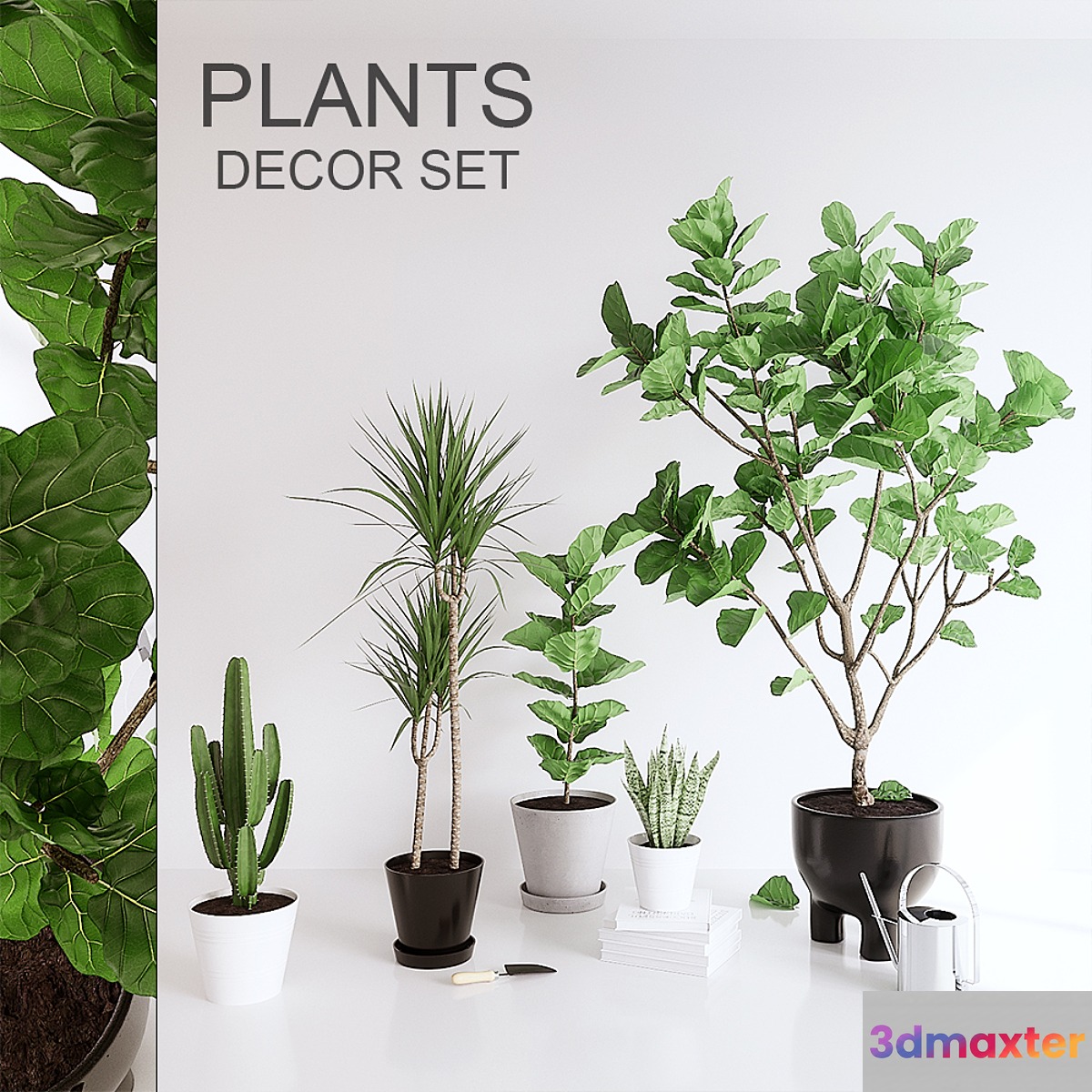 PLANTS SET (vray GGX corona PBR) 3D Max