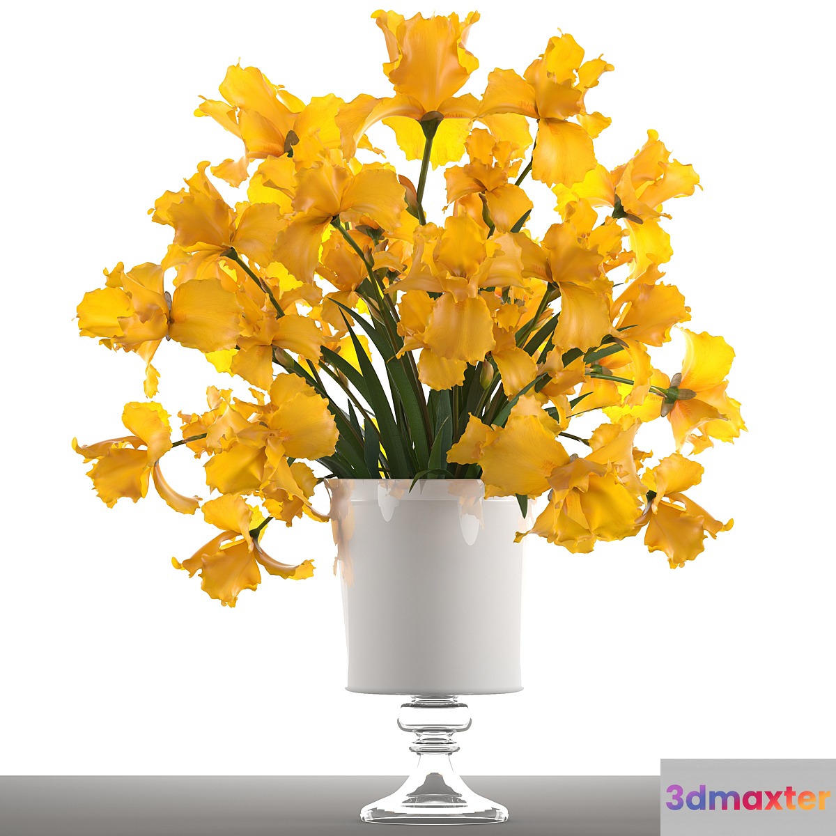Bouquet of yellow flowers 47. Yellow Irises vase decor flower 3D Max