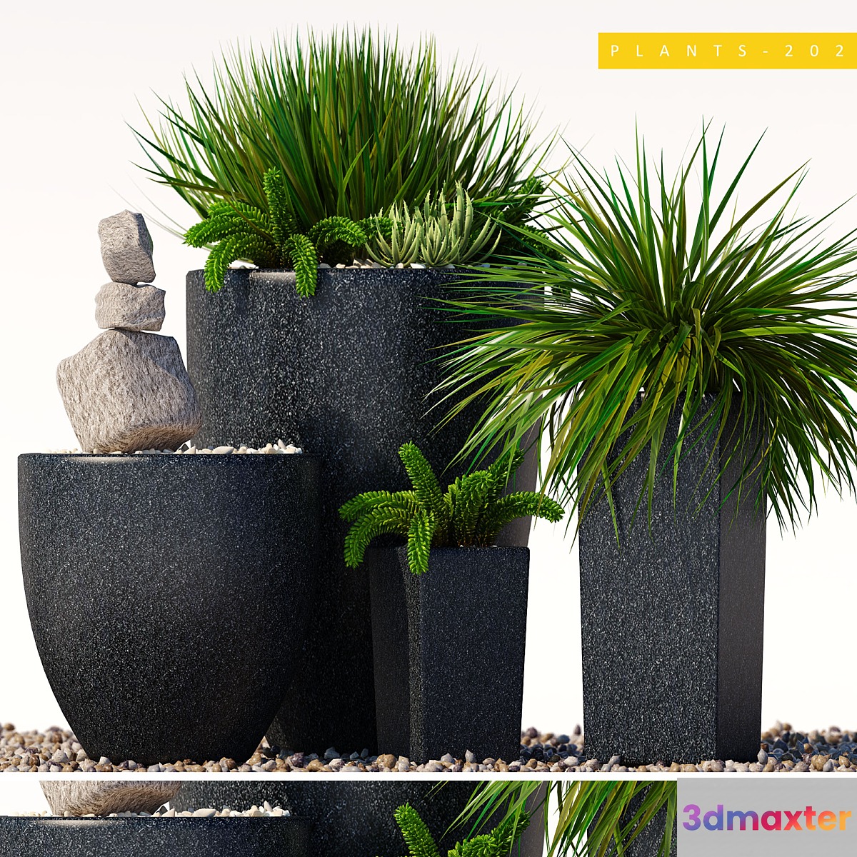 plants 202 3D Max