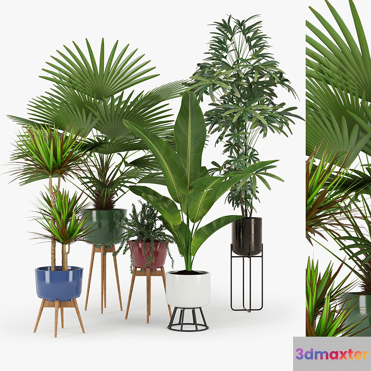 Plant Set 03 3D Max
