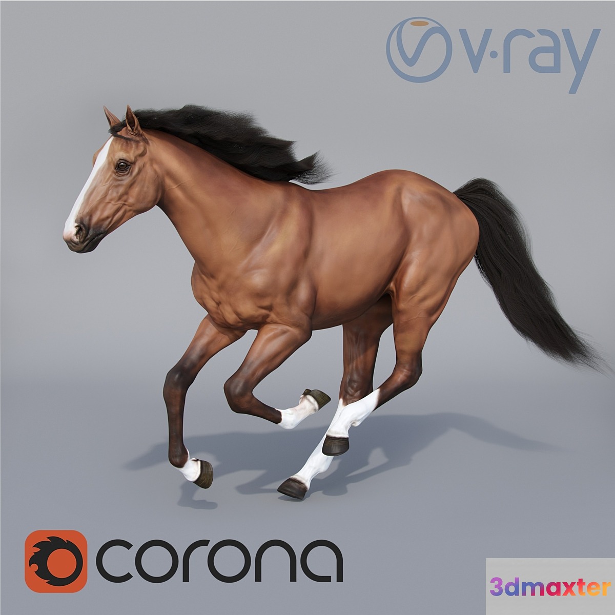 Running horse 3D Max