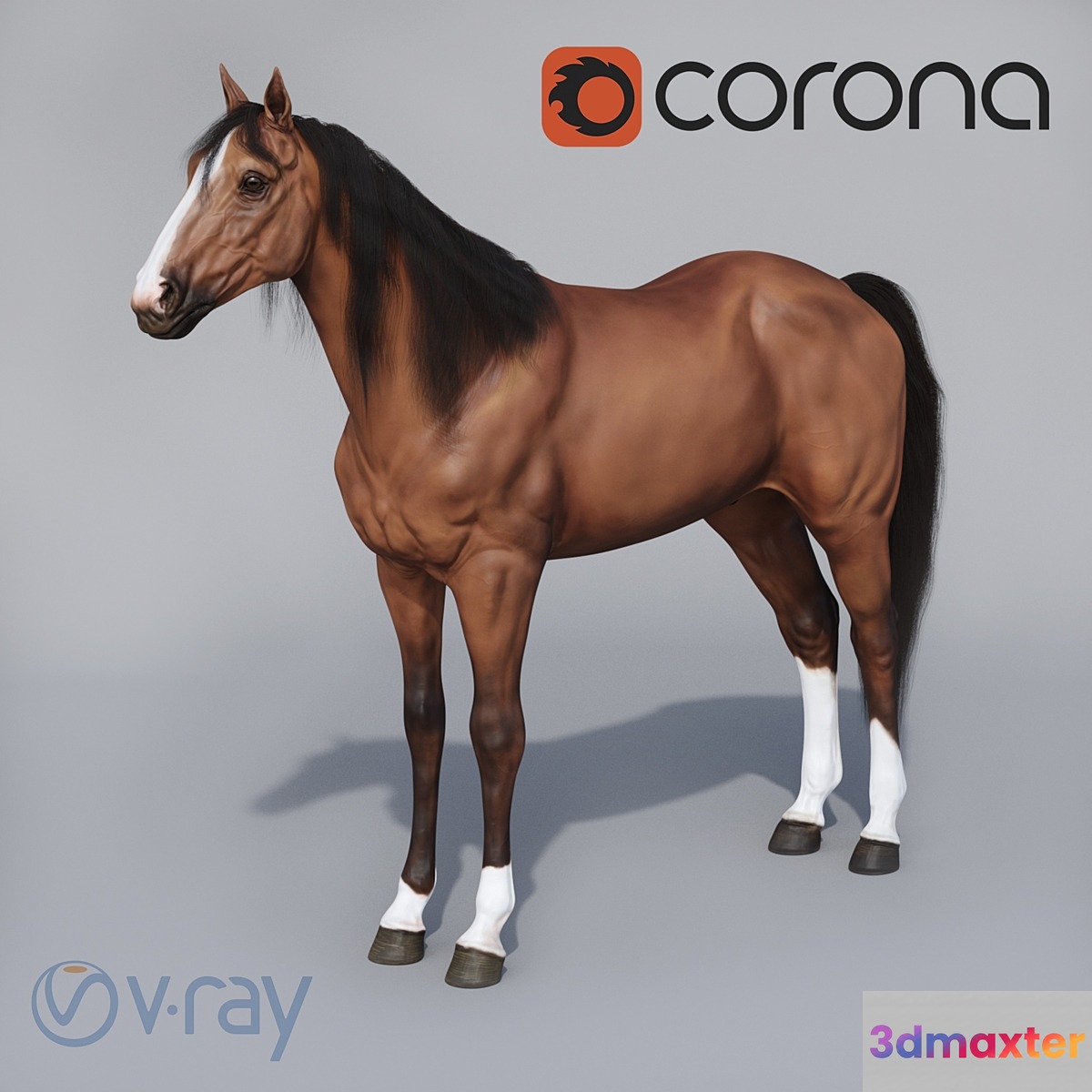 Standing horse 3D Max